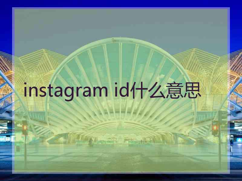 instagram id什么意思