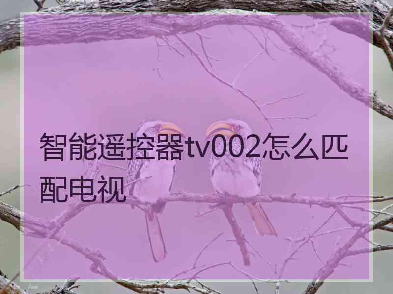 智能遥控器tv002怎么匹配电视