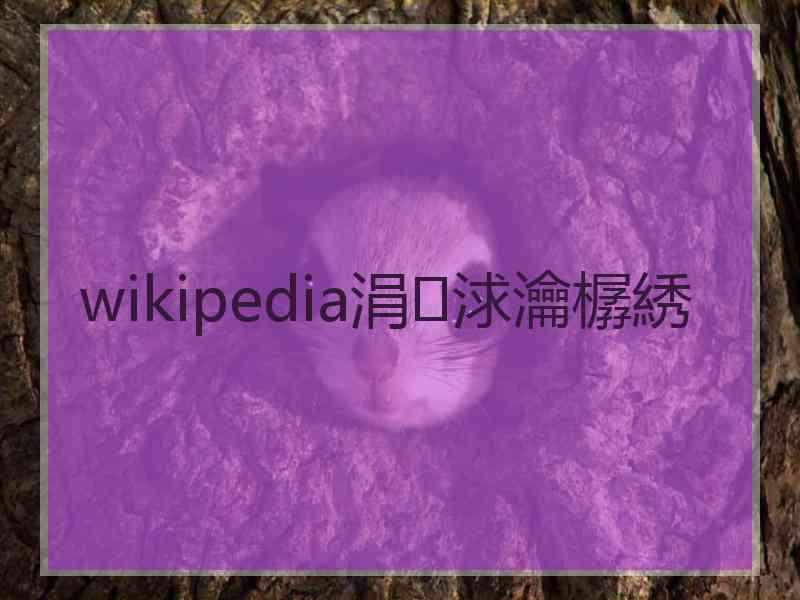 wikipedia涓浗瀹樼綉