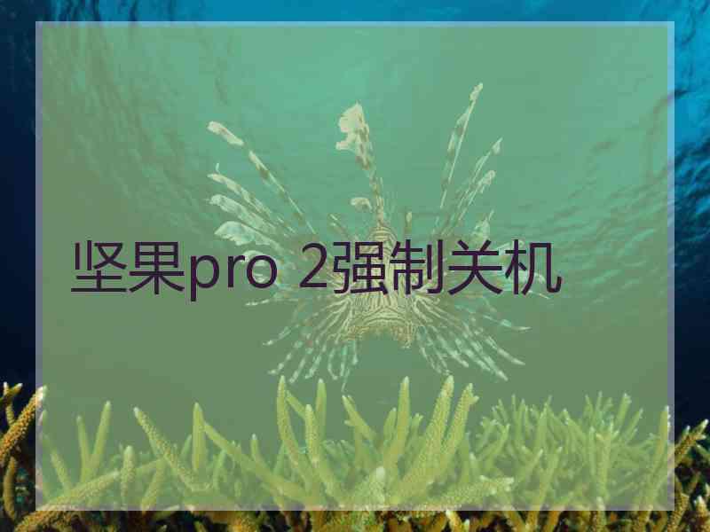 坚果pro 2强制关机