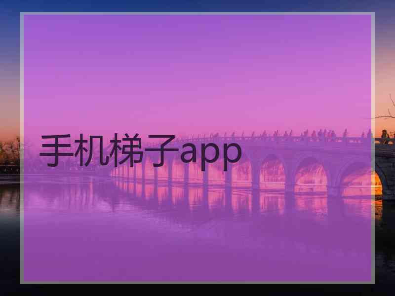 手机梯子app