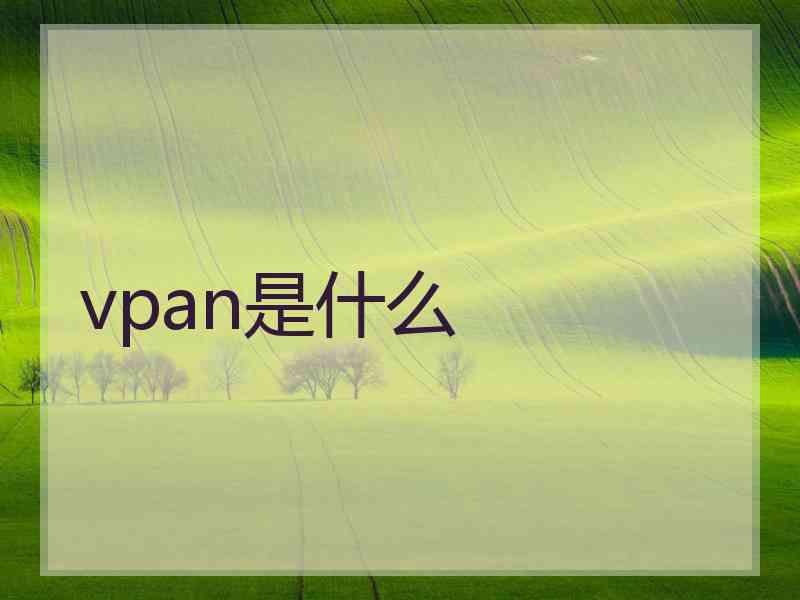 vpan是什么