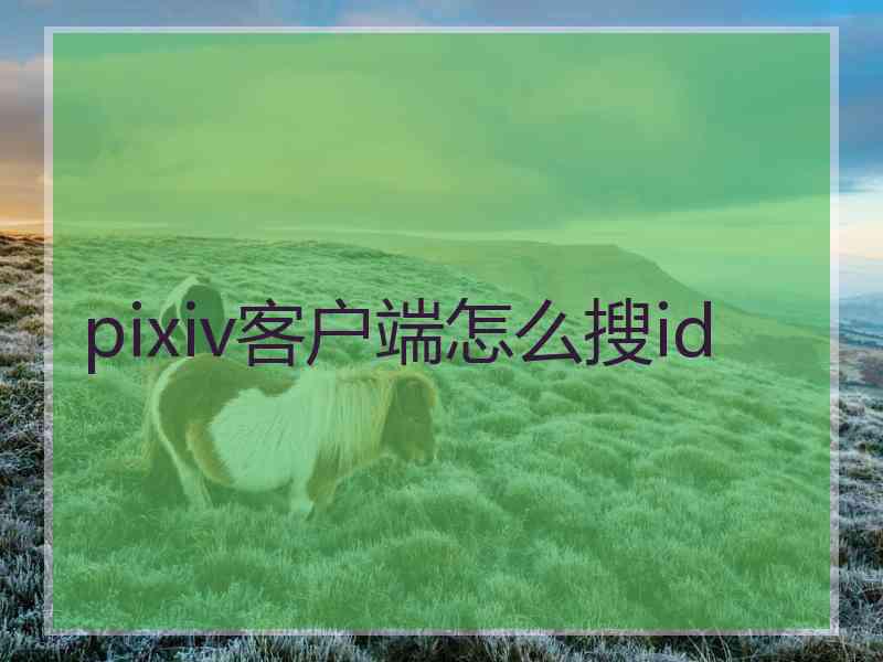 pixiv客户端怎么搜id