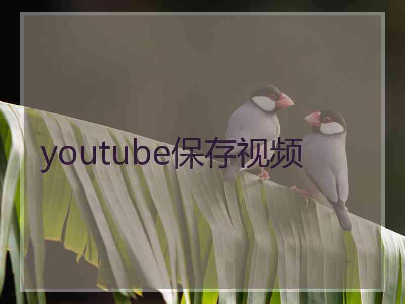 youtube保存视频