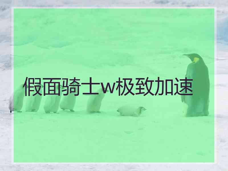 假面骑士w极致加速