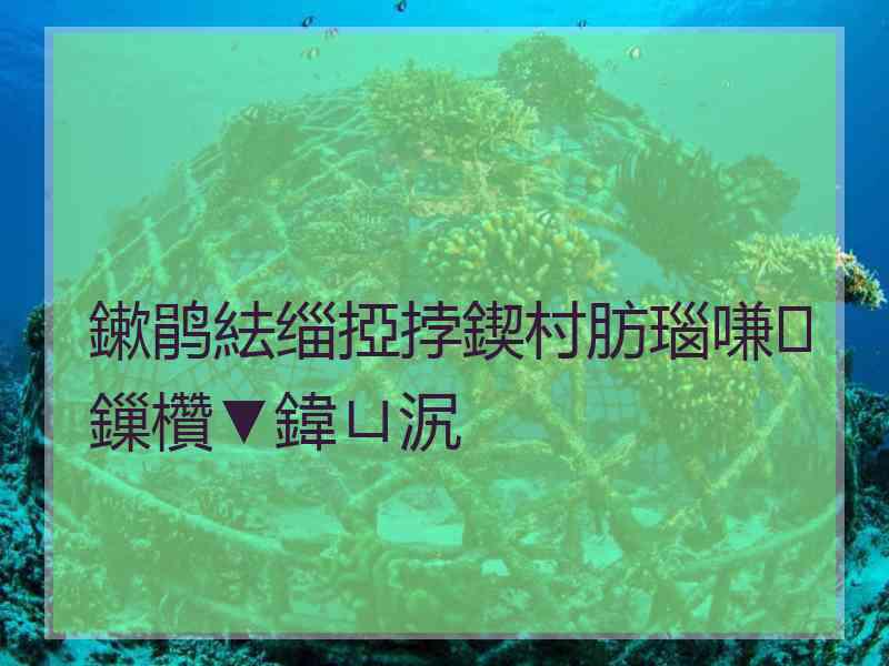 鏉鹃紶缁掗挬鍥村肪瑙嗛鏁欑▼鍏ㄩ泦