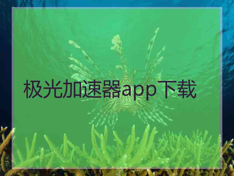 极光加速器app下载