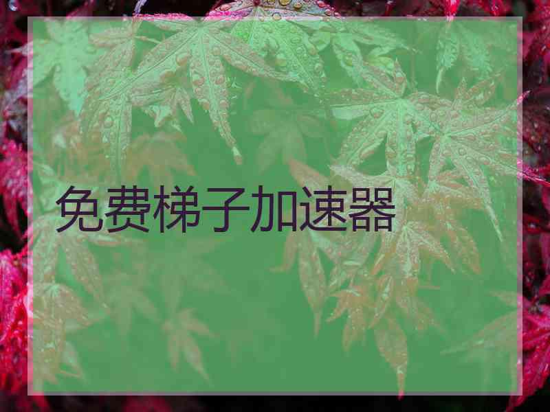 免费梯子加速器