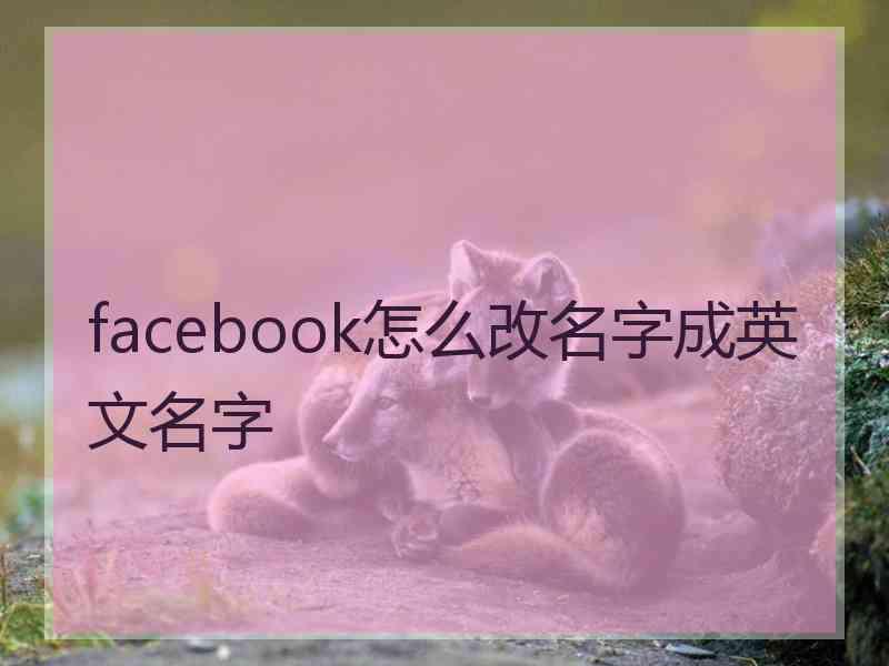 facebook怎么改名字成英文名字