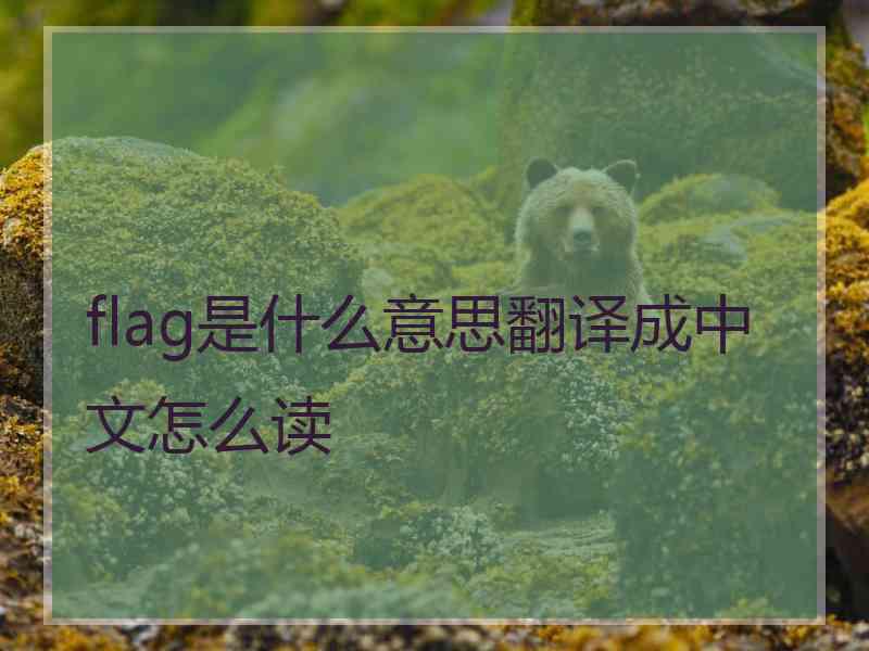 flag是什么意思翻译成中文怎么读