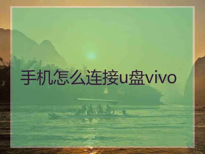 手机怎么连接u盘vivo