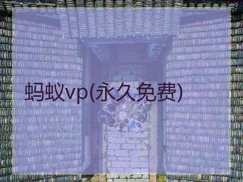 蚂蚁vp(永久免费)