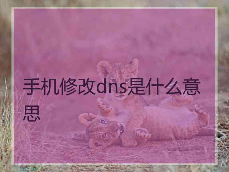 手机修改dns是什么意思