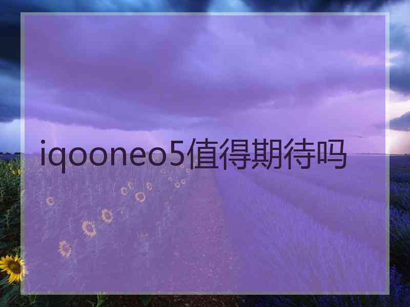 iqooneo5值得期待吗