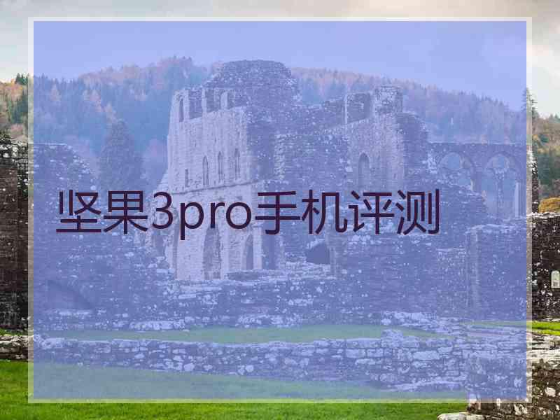 坚果3pro手机评测