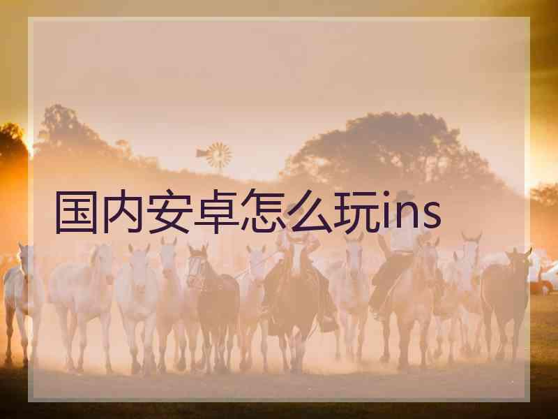 国内安卓怎么玩ins