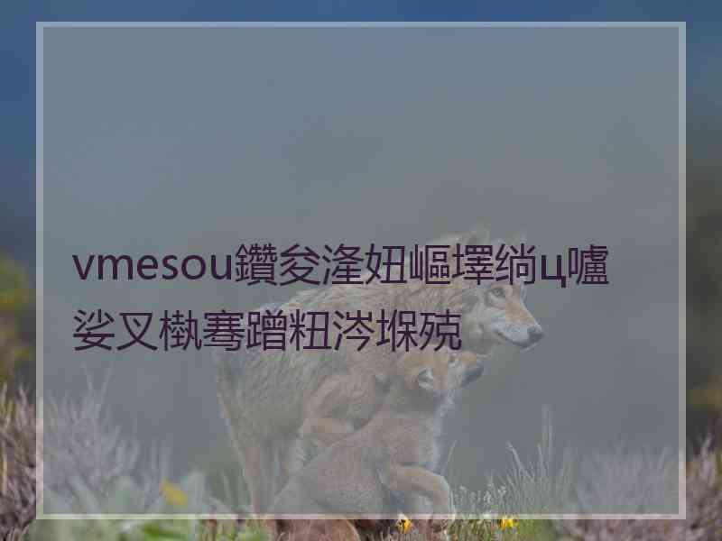 vmesou鑽夋湰妞嶇墿绱ц嚧娑叉槸骞蹭粈涔堢殑