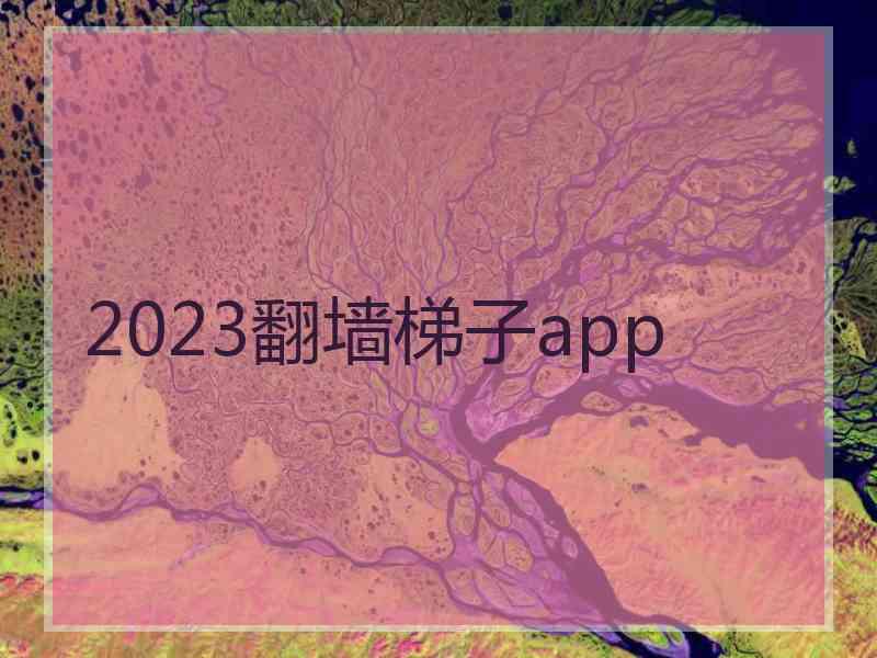 2023翻墙梯子app