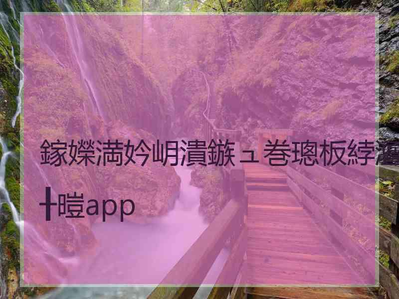 鎵嬫満妗岄潰鏃ュ巻璁板綍澶╂暟app