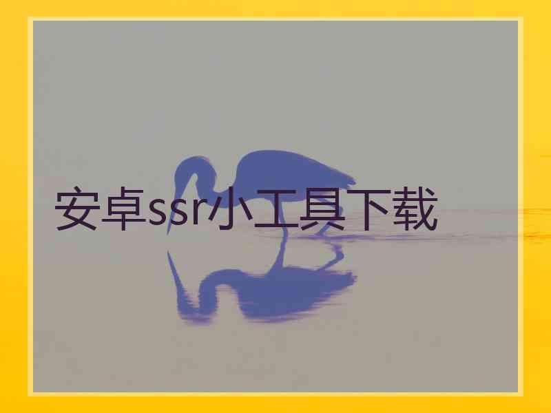 安卓ssr小工具下载