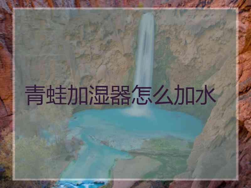 青蛙加湿器怎么加水