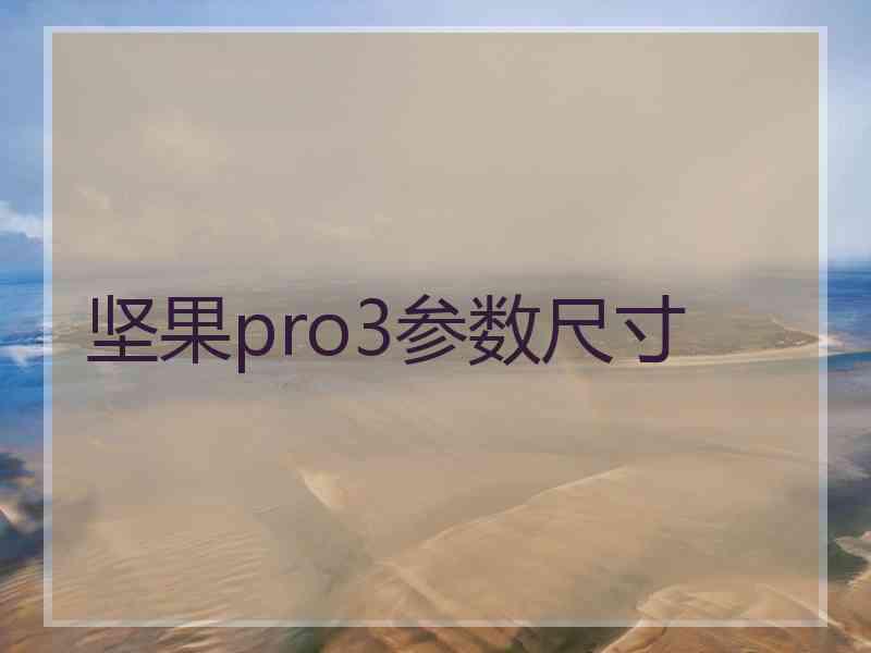 坚果pro3参数尺寸