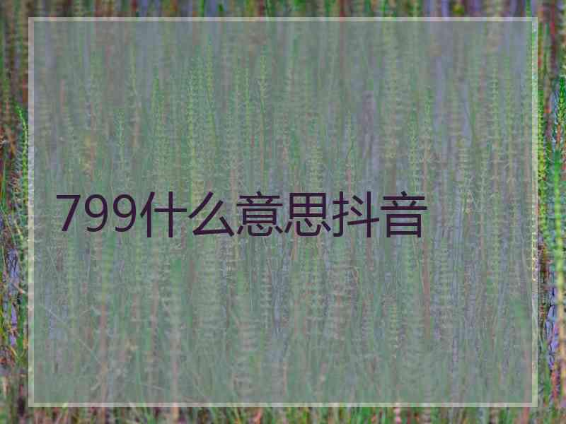 799什么意思抖音