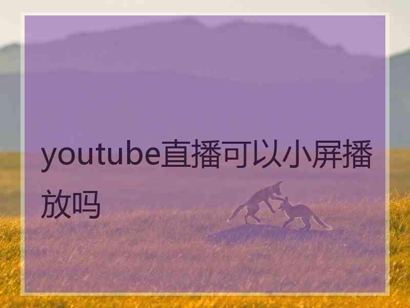 youtube直播可以小屏播放吗