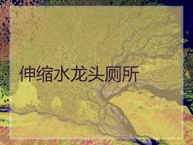 伸缩水龙头厕所