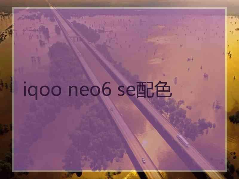 iqoo neo6 se配色