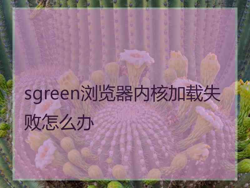 sgreen浏览器内核加载失败怎么办