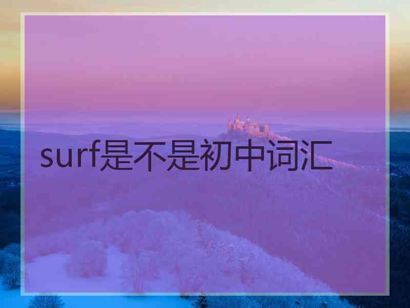 surf是不是初中词汇