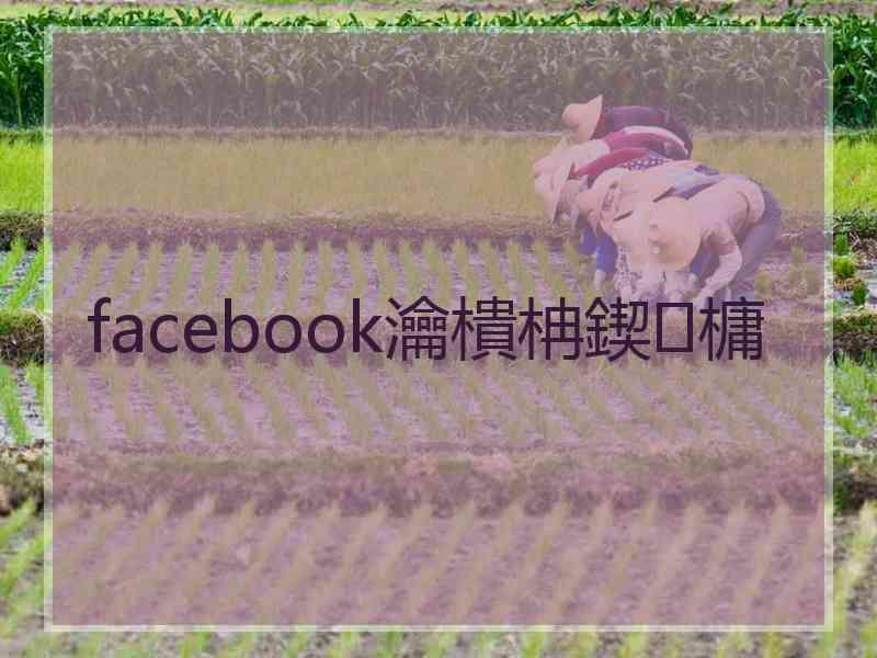 facebook瀹樻柟鍥㈤槦