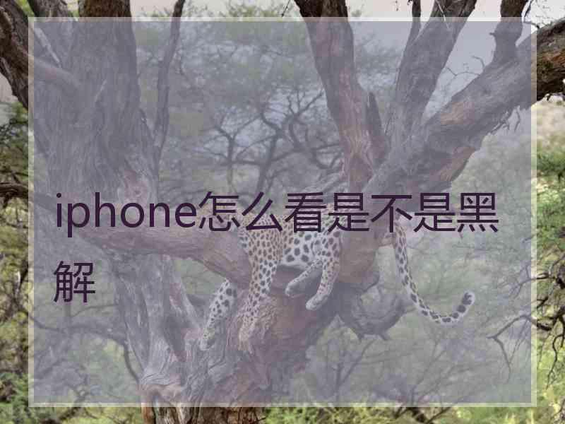 iphone怎么看是不是黑解