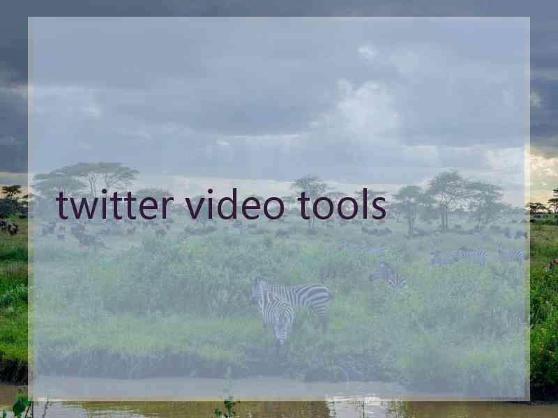 twitter video tools