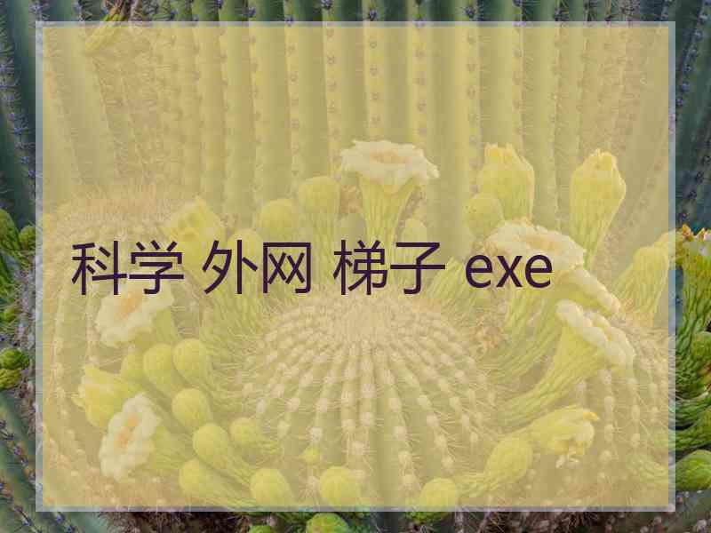 科学 外网 梯子 exe