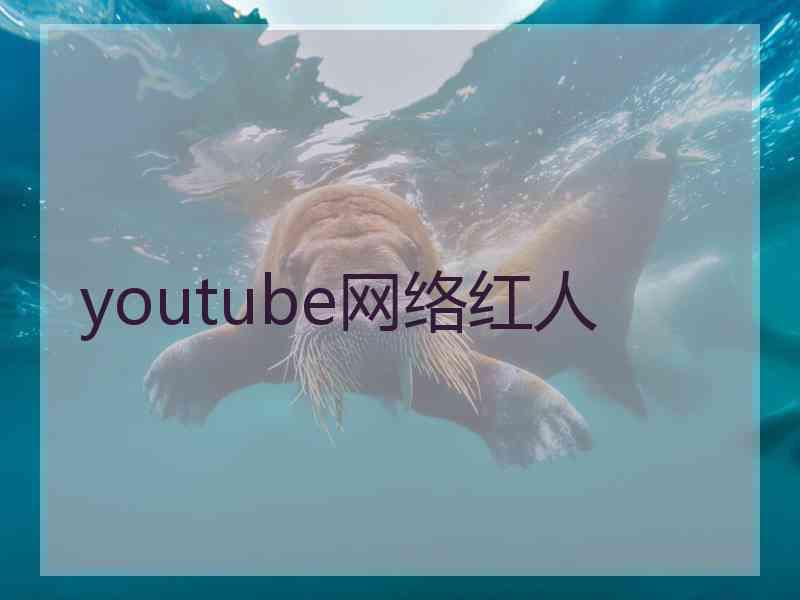 youtube网络红人