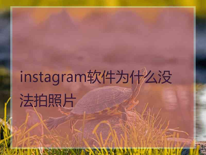 instagram软件为什么没法拍照片