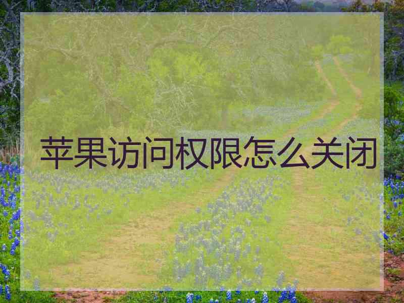 苹果访问权限怎么关闭