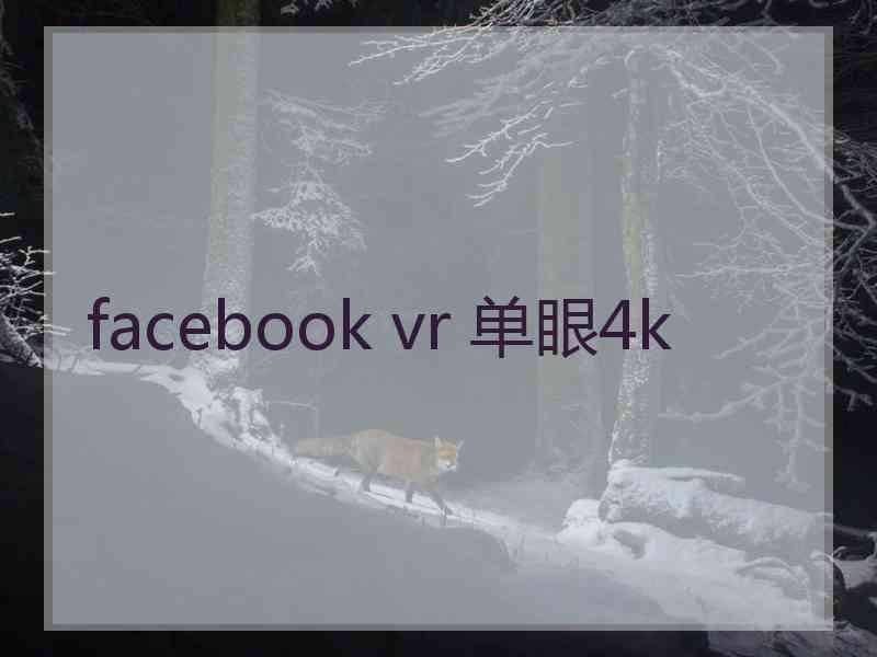 facebook vr 单眼4k