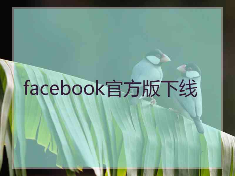 facebook官方版下线