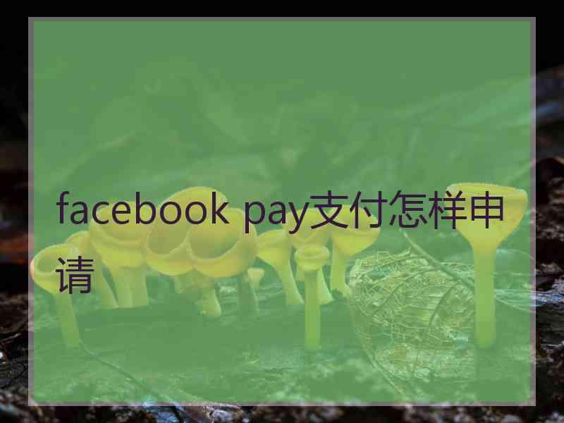 facebook pay支付怎样申请