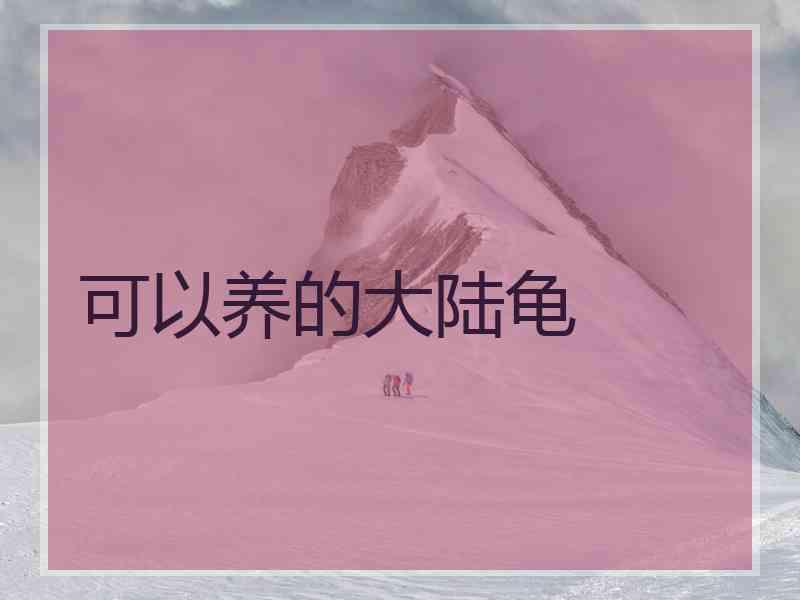 可以养的大陆龟