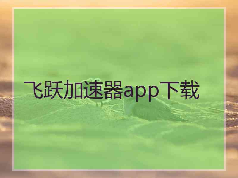 飞跃加速器app下载