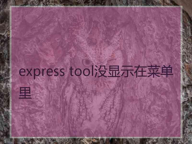 express tool没显示在菜单里