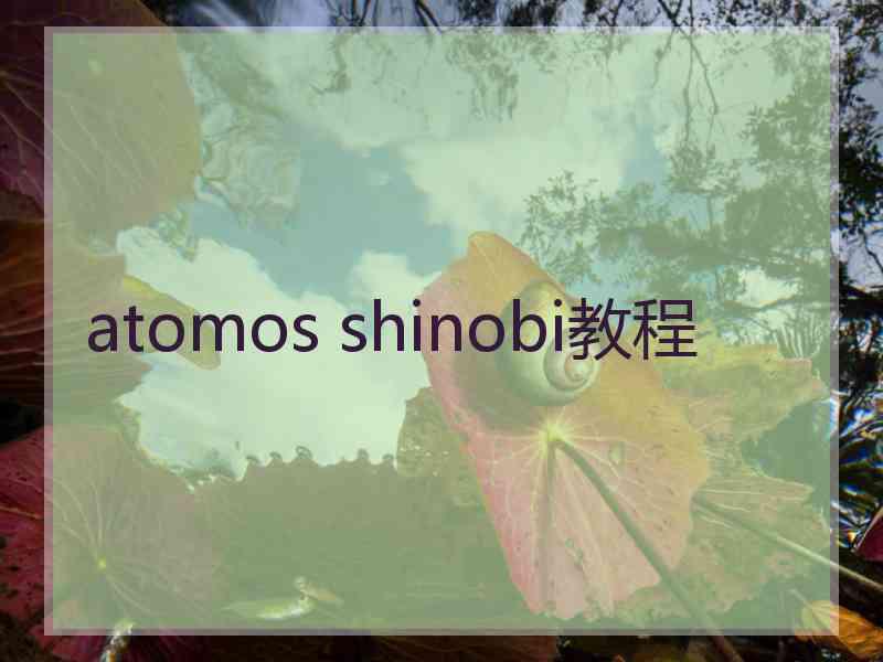 atomos shinobi教程