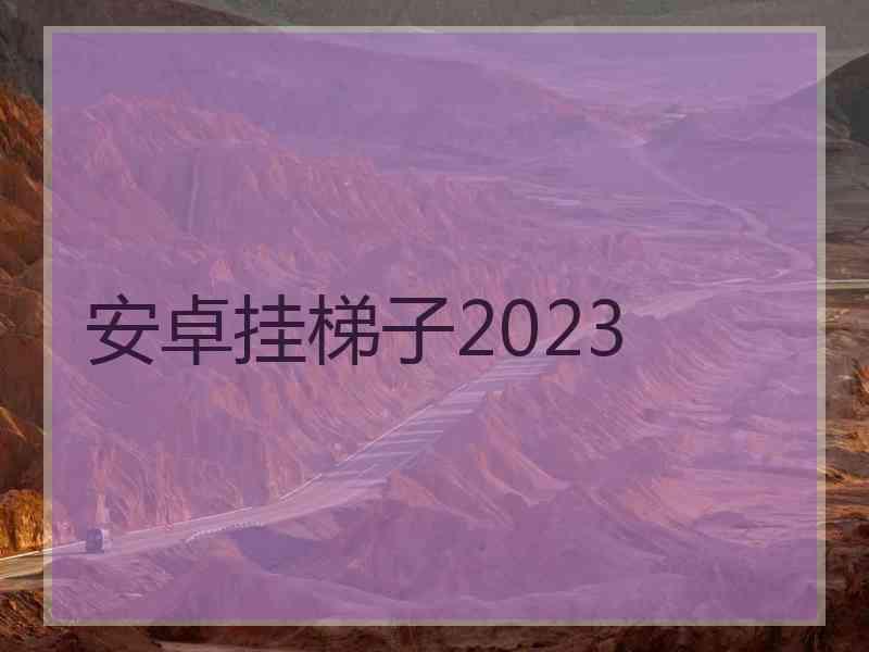 安卓挂梯子2023