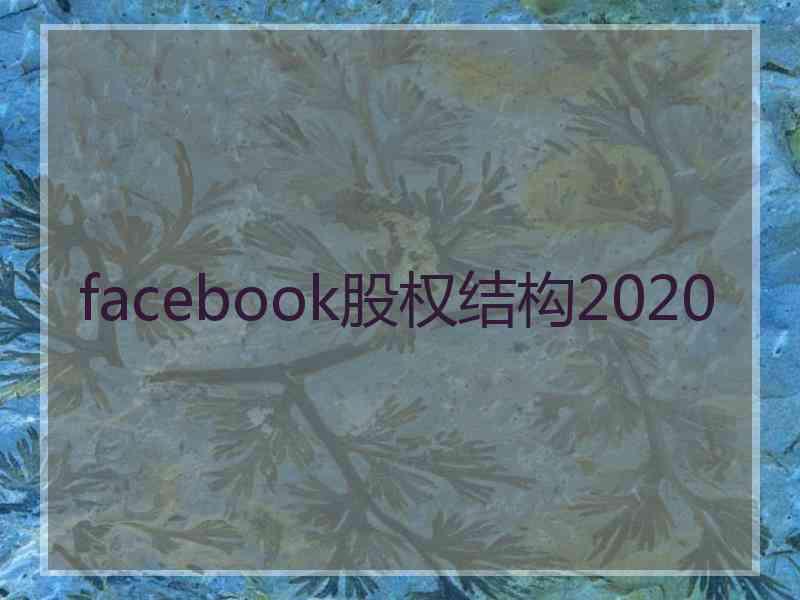 facebook股权结构2020