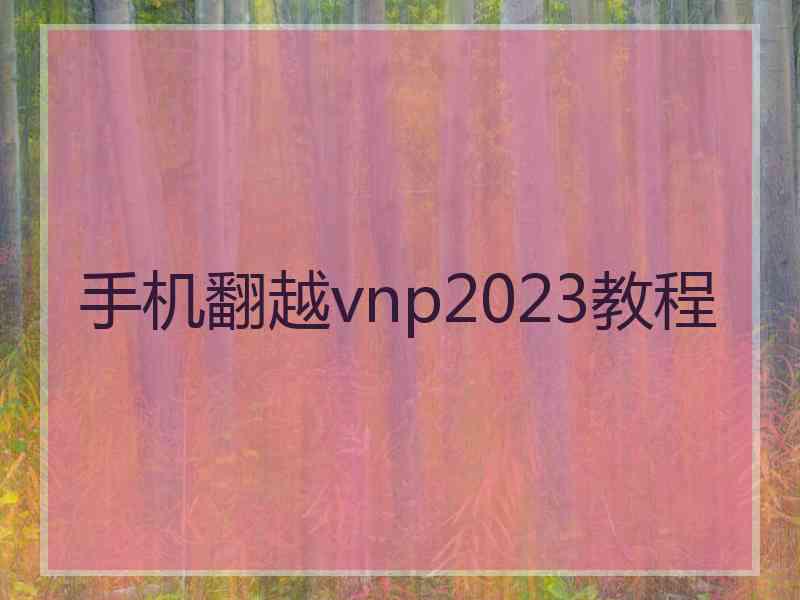 手机翻越vnp2023教程