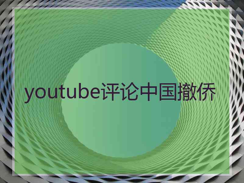 youtube评论中国撤侨